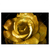 Led Wandbild Goldene Rose Querformat Produktvorschau Frontal