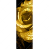 Led Wandbild Goldene Rose Schmal Motivvorschau