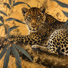 Led Wandbild Goldener Leopard Imposanter Jaeger Quadrat Motivvorschau