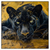 Led Wandbild Goldener Panther Quadrat Produktvorschau Frontal
