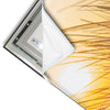 Led Wandbild Goldenes Licht Ueber Sandduenen Schmal Materialvorschau