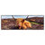 Led Wandbild Grasendes Hochlandrind Panorama Produktvorschau Frontal