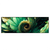 Led Wandbild Gruene Spiralblaetter Panorama Produktvorschau Frontal