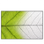 Led Wandbild Gruenes Blatt Querformat Produktvorschau Frontal