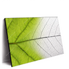 Led Wandbild Gruenes Blatt Querformat Produktvorschau Seitlich