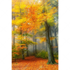 Led Wandbild Herbstfarben Im Nebligen Wald Hochformat Motivvorschau