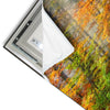 Led Wandbild Herbstfarben Im Nebligen Wald Panorama Materialvorschau
