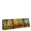 Led Wandbild Herbstfarben Im Nebligen Wald Panorama Produktvorschau Seitlich