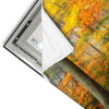 Led Wandbild Herbstfarben Im Nebligen Wald Quadrat Materialvorschau