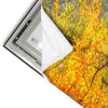 Led Wandbild Herbstfarben Im Nebligen Wald Schmal Materialvorschau