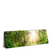 Led Wandbild Herbstlicher Wald Panorama Produktvorschau Seitlich