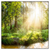 Led Wandbild Herbstlicher Wald Quadrat Produktvorschau Frontal