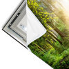 Led Wandbild Herbstlicher Wald Querformat Materialvorschau