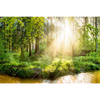 Led Wandbild Herbstlicher Wald Querformat Motivvorschau