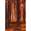 Led Wandbild Herbstwald Hochformat Motivvorschau