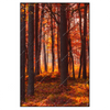 Led Wandbild Herbstwald Hochformat Produktvorschau Frontal