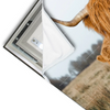 Led Wandbild Highlander Familie Querformat Materialvorschau