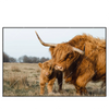Led Wandbild Highlander Familie Querformat Produktvorschau Frontal
