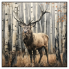Led Wandbild Hirsch Im Birkenwald Quadrat Produktvorschau Frontal