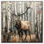 Led Wandbild Hirsch Im Birkenwald Quadrat Produktvorschau Frontal
