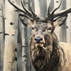 Led Wandbild Hirsch Im Birkenwald Querformat Zoom