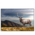 Led Wandbild Hirsch In Der Herbstzeit Querformat Produktvorschau Frontal