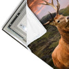 Led Wandbild Hirsch In Gebirgslandschaft Hochformat Materialvorschau