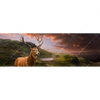 Led Wandbild Hirsch In Gebirgslandschaft Panorama Motivvorschau