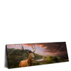 Led Wandbild Hirsch In Gebirgslandschaft Panorama Produktvorschau Seitlich