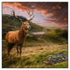 Led Wandbild Hirsch In Gebirgslandschaft Quadrat Produktvorschau Frontal