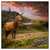 Led Wandbild Hirsch In Gebirgslandschaft Quadrat Produktvorschau Frontal