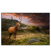 Led Wandbild Hirsch In Gebirgslandschaft Querformat Produktvorschau Frontal