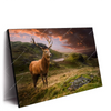 Led Wandbild Hirsch In Gebirgslandschaft Querformat Produktvorschau Seitlich