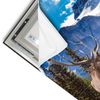 Led Wandbild Hirsch Vor Bergkulisse Querformat Materialvorschau