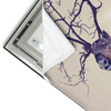 Led Wandbild Hirsch Wald No 1 Querformat Materialvorschau