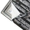Led Wandbild Hirschportraet Vor Birken Hochformat Materialvorschau