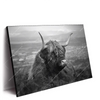 Led Wandbild Hochland Rind Schwarz Weiss No 2 Querformat Produktvorschau Seitlich