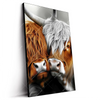Led Wandbild Hochlandrinder Harmonie Der Natur Hochformat Produktvorschau Seitlich