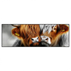 Led Wandbild Hochlandrinder Harmonie Der Natur Panorama Produktvorschau Frontal