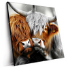 Led Wandbild Hochlandrinder Harmonie Der Natur Quadrat Produktvorschau Seitlich
