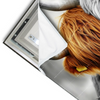 Led Wandbild Hochlandrinder Harmonie Der Natur Querformat Materialvorschau