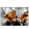 Led Wandbild Hochlandrinder Harmonie Der Natur Querformat Produktvorschau Frontal