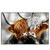Led Wandbild Hochlandrinder Harmonie Der Natur Querformat Produktvorschau Frontal