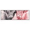Led Wandbild Hochlandrinder Harmonie In Pastell Panorama Produktvorschau Frontal