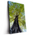 Led Wandbild Hoher Baum Hochformat Produktvorschau Seitlich