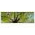 Led Wandbild Hoher Baum Panorama Produktvorschau Frontal