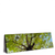 Led Wandbild Hoher Baum Panorama Produktvorschau Seitlich