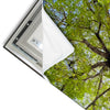 Led Wandbild Hoher Baum Quadrat Materialvorschau