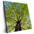 Led Wandbild Hoher Baum Quadrat Produktvorschau Seitlich