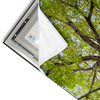 Led Wandbild Hoher Baum Querformat Materialvorschau